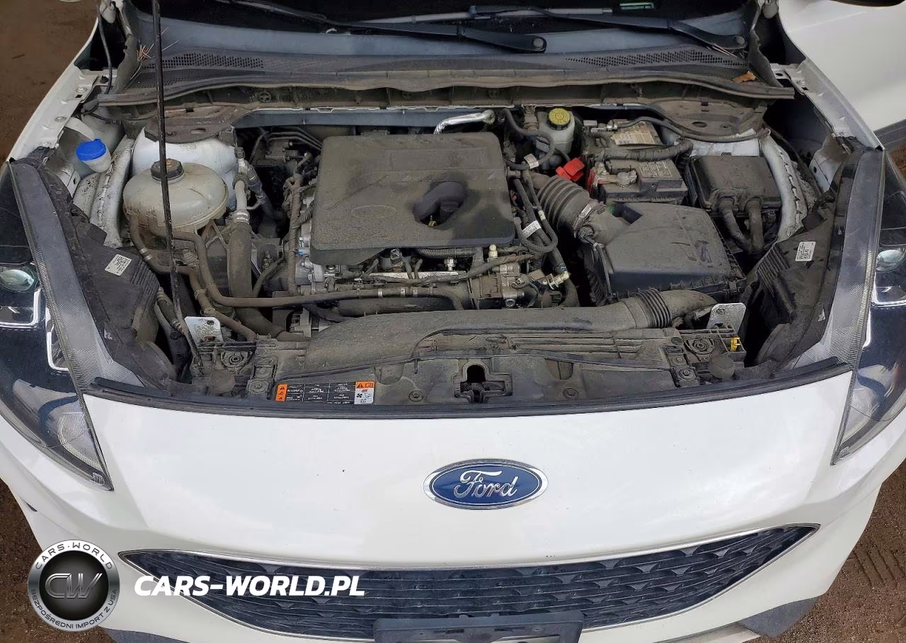 2020 Ford Escape Se VIN:1FMCU9G63LUB41721 - 12