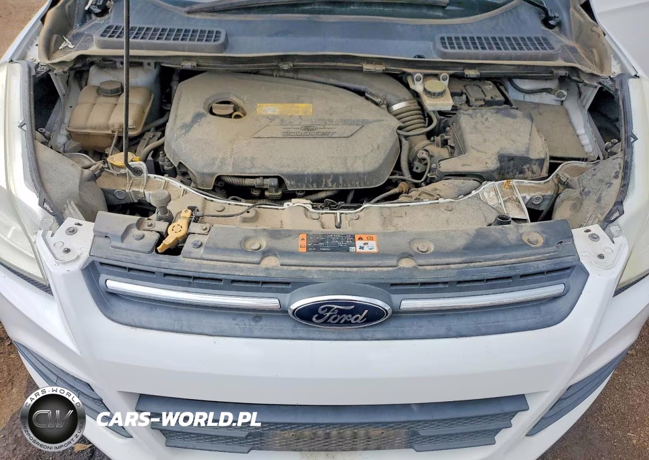 2015 Ford Escape Se VIN:1FMCU9GX3FUC14406 - 12