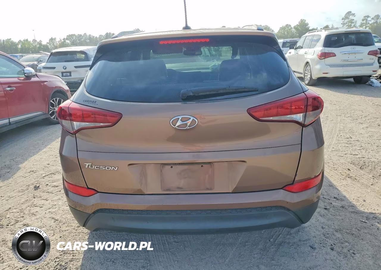 2016 Hyundai Tucson Se VIN:KM8J33A49GU141422 - 6