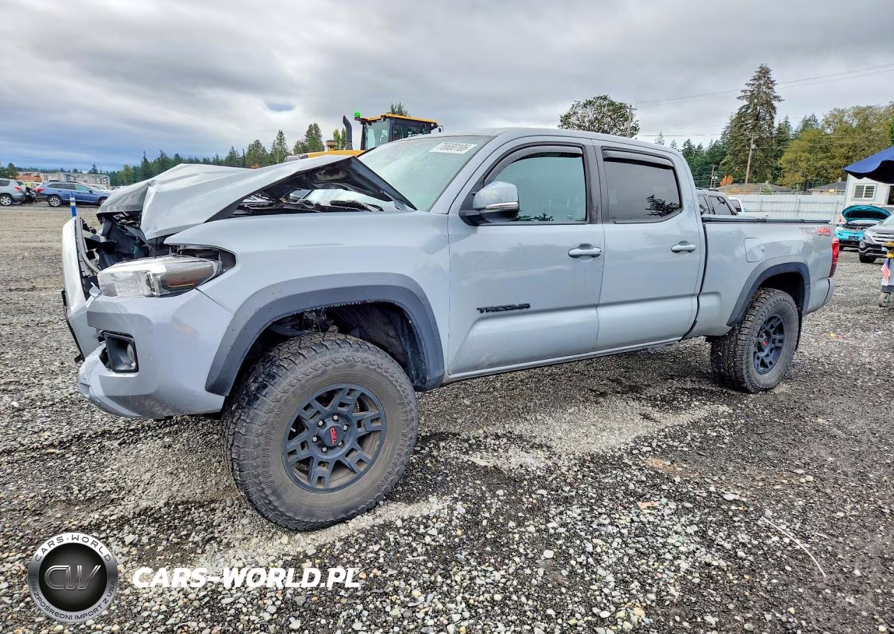 2019 Toyota Tacoma Trd Off-Road VIN:3TMDZ5BN5KM069280 - 1