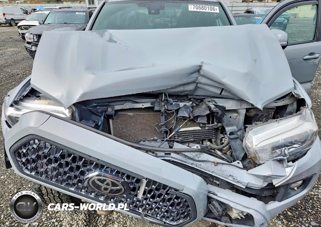 2019 Toyota Tacoma Trd Off-Road VIN:3TMDZ5BN5KM069280 - 11