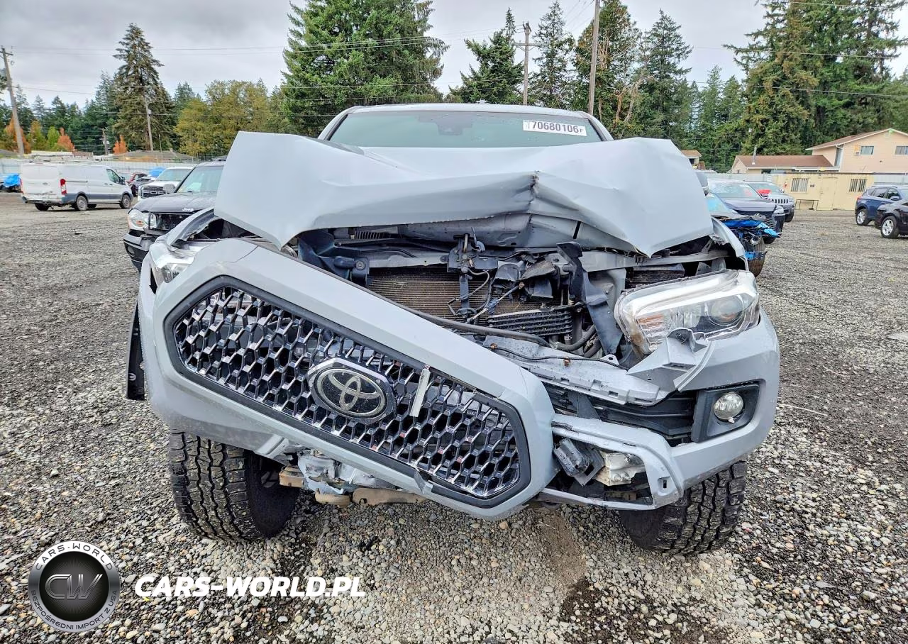 2019 Toyota Tacoma Trd Off-Road VIN:3TMDZ5BN5KM069280 - 5