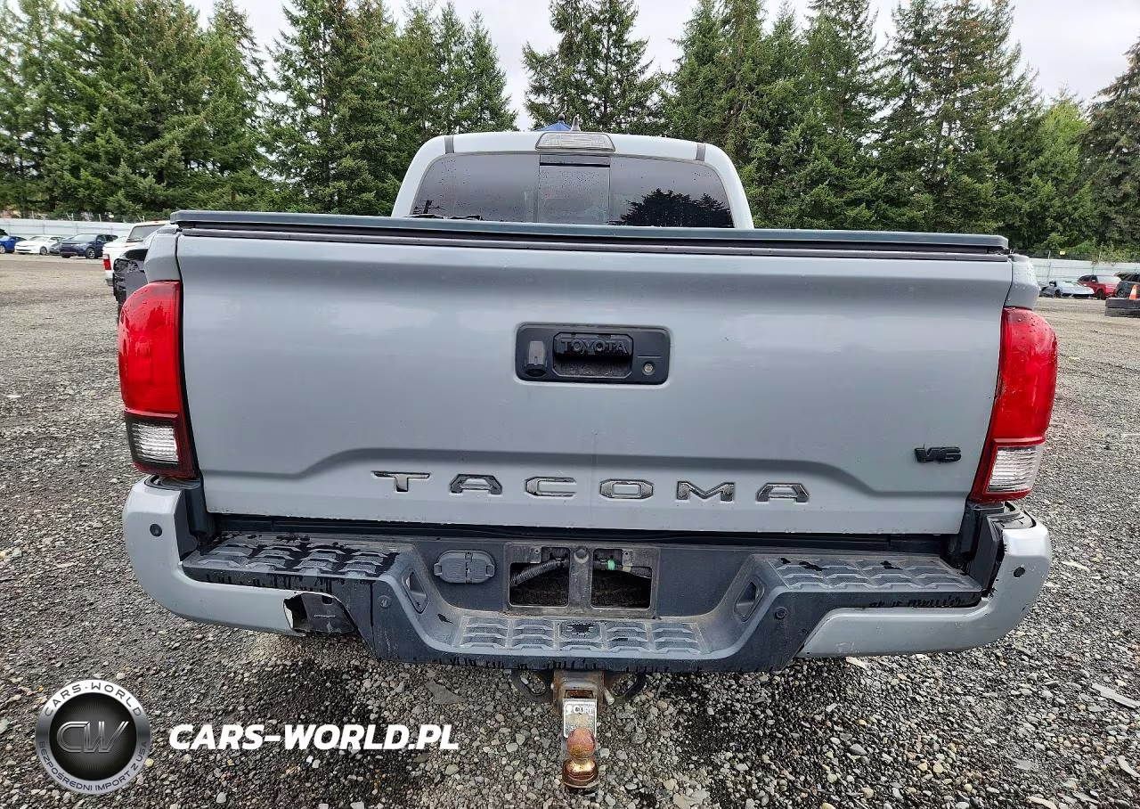 2019 Toyota Tacoma Trd Off-Road VIN:3TMDZ5BN5KM069280 - 6