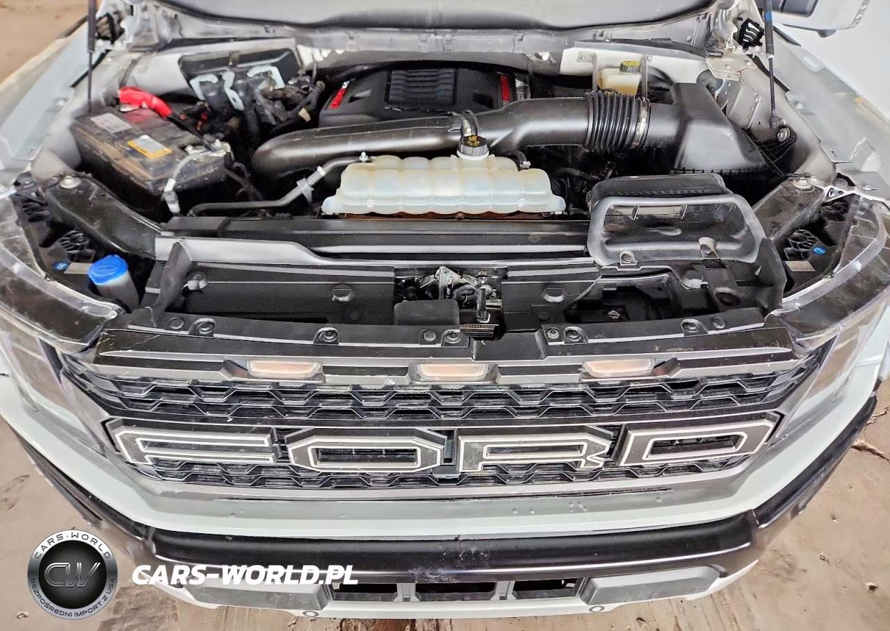 2023 Ford F150 Raptor VIN:1FTFW1RG2PFA56690 - 11