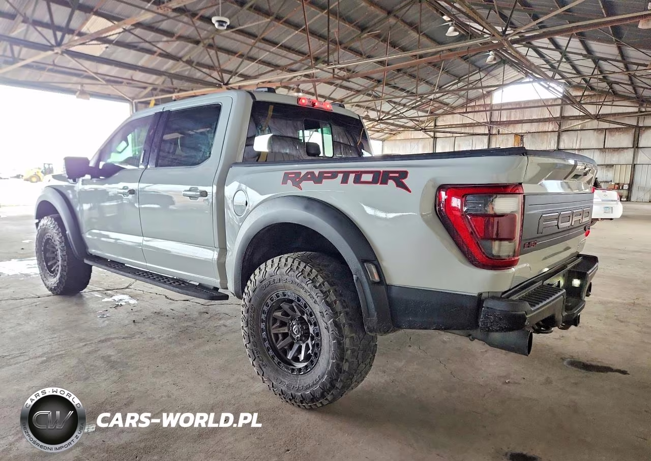 2023 Ford F150 Raptor VIN:1FTFW1RG2PFA56690 - 2