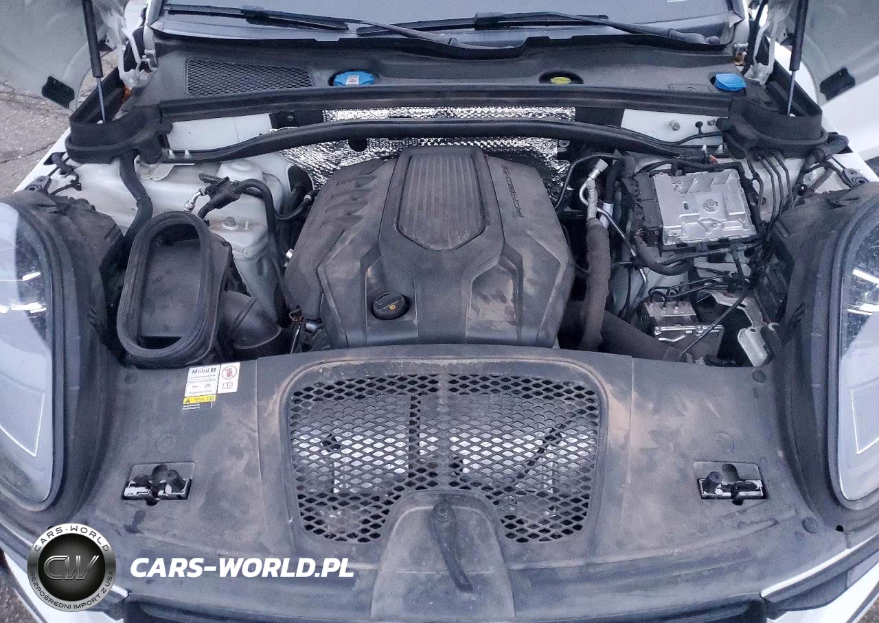 2023 Porsche Macan Base VIN:WP1AA2A51PLB10439 - 12