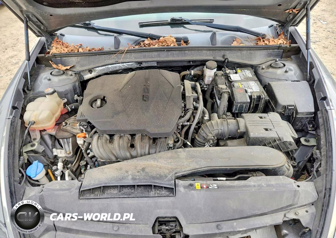 2021 Hyundai Sonata Se VIN:5NPEG4JA5MH117663 - 11