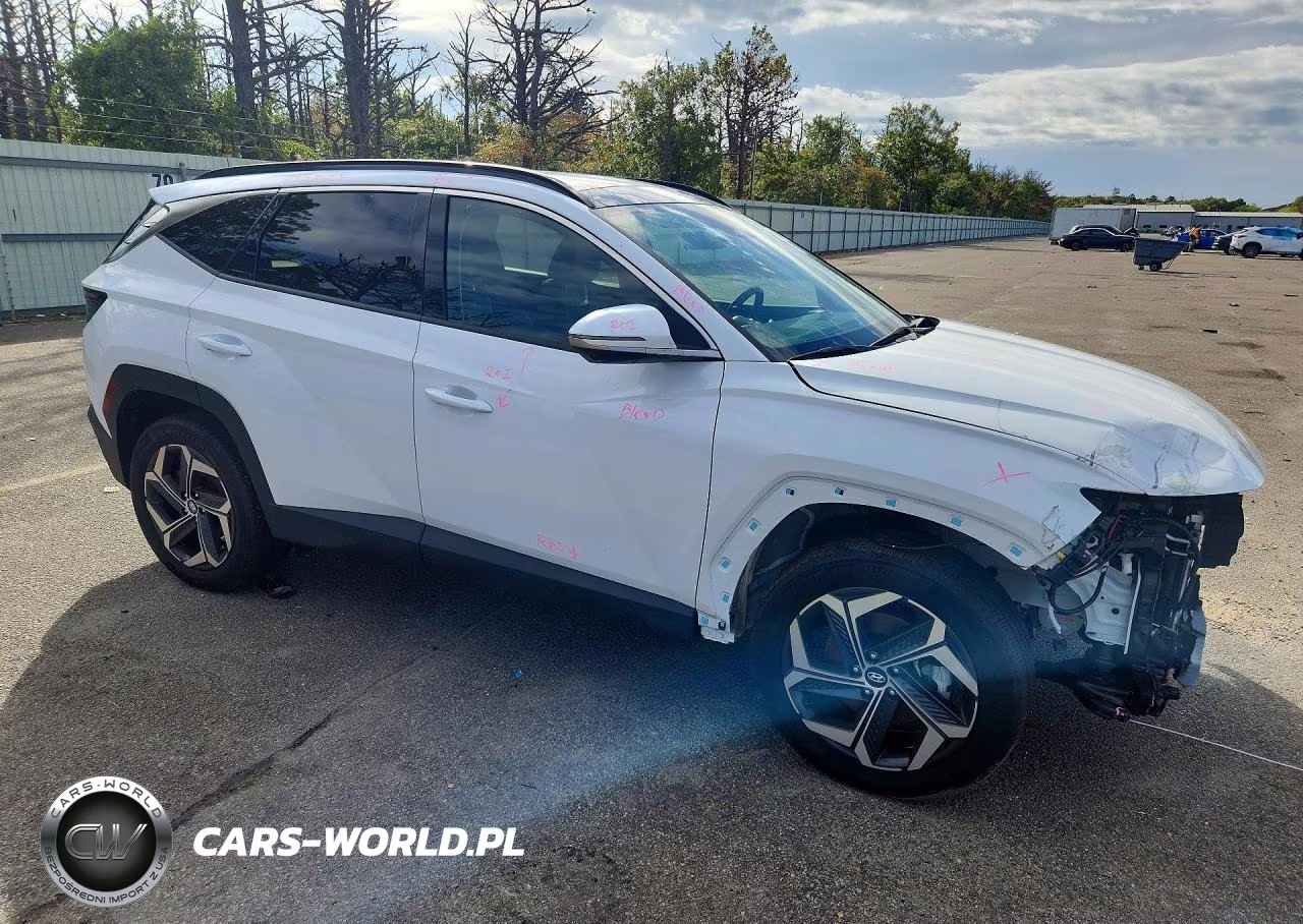 2024 Hyundai Tucson Limited VIN:KM8JECD18RU189346 - 4