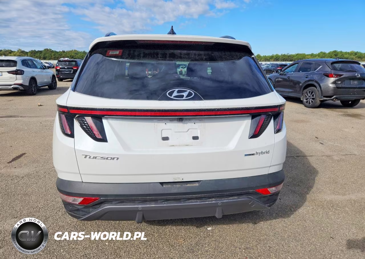 2024 Hyundai Tucson Limited VIN:KM8JECD18RU189346 - 6