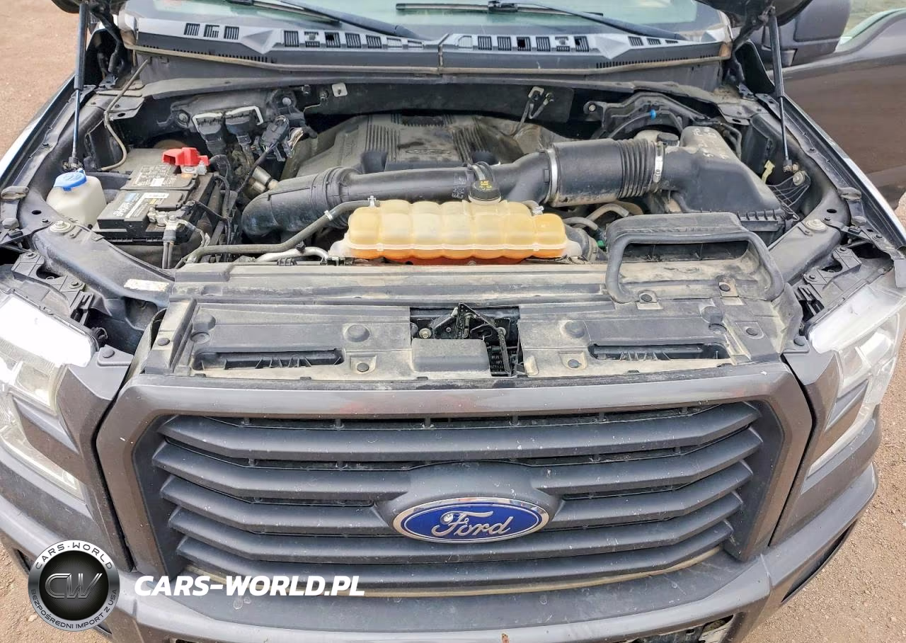 2017 Ford F150 Supercrew VIN:1FTEW1EG5HKE51022 - 11