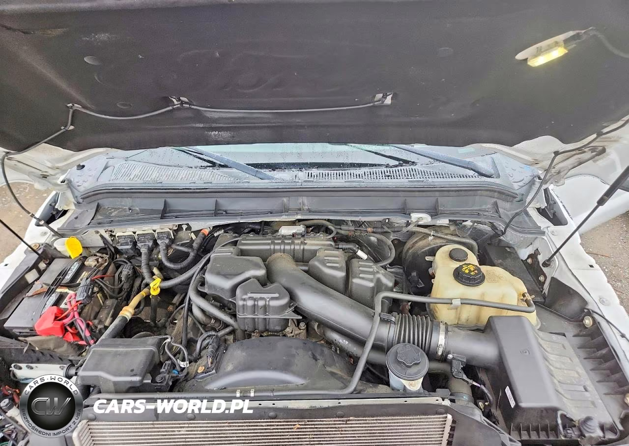 2016 Ford F250 Super Duty VIN:1FT7X2B67GED43859 - 11