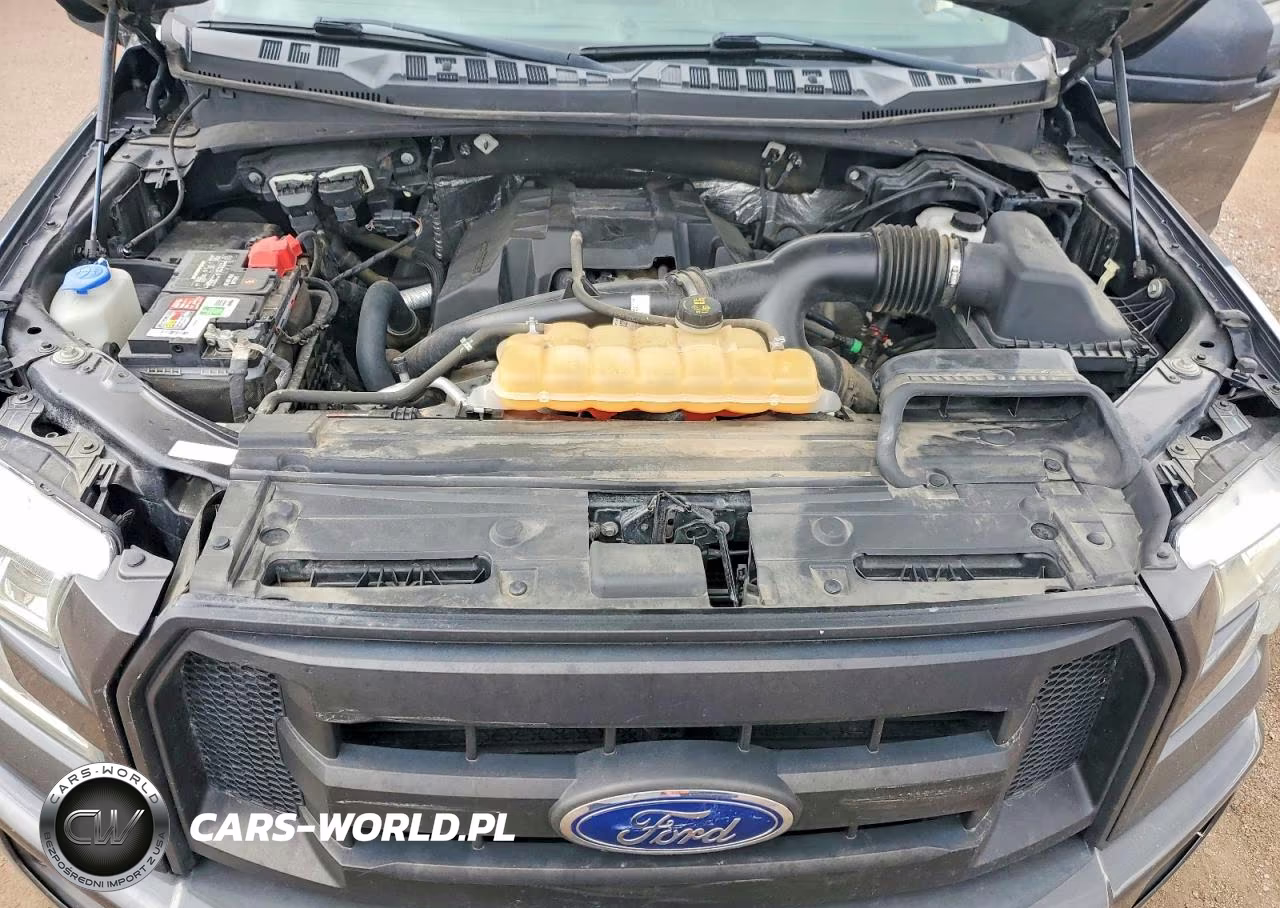 2015 Ford F150 Supercrew VIN:1FTEW1EP7FKE16530 - 11