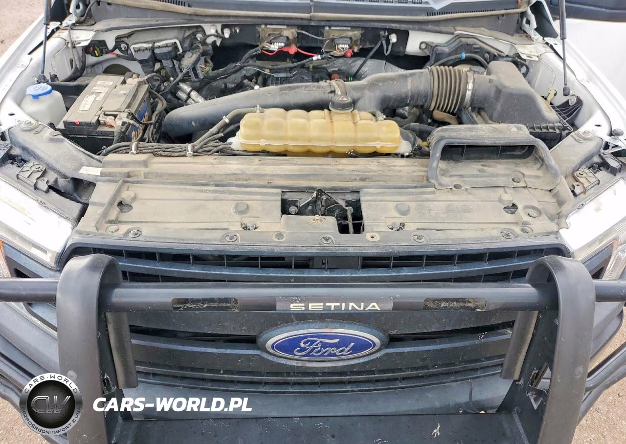 2019 Ford F150 Police Responder VIN:1FTEW1P49KKD50849 - 11