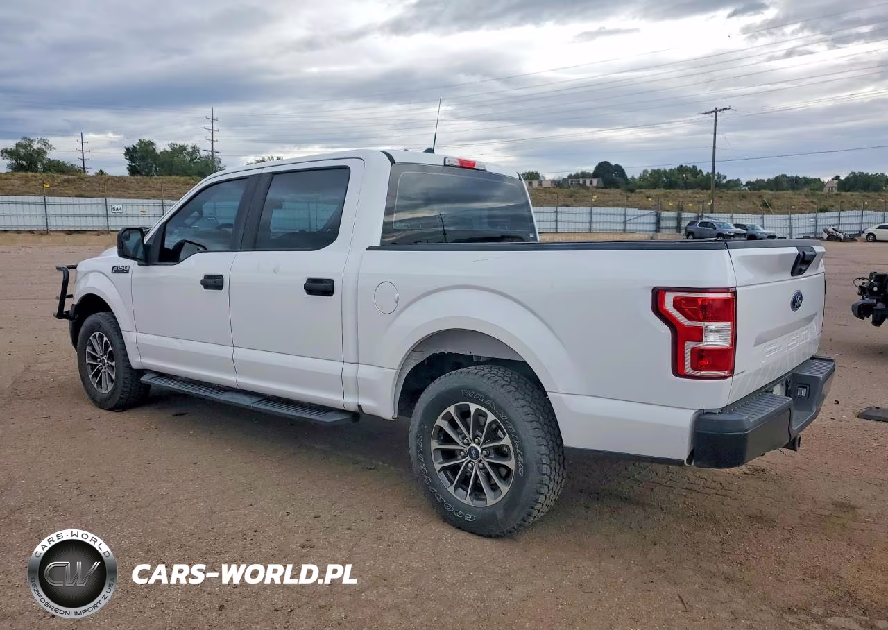 2019 Ford F150 Police Responder VIN:1FTEW1P49KKD50849 - 2