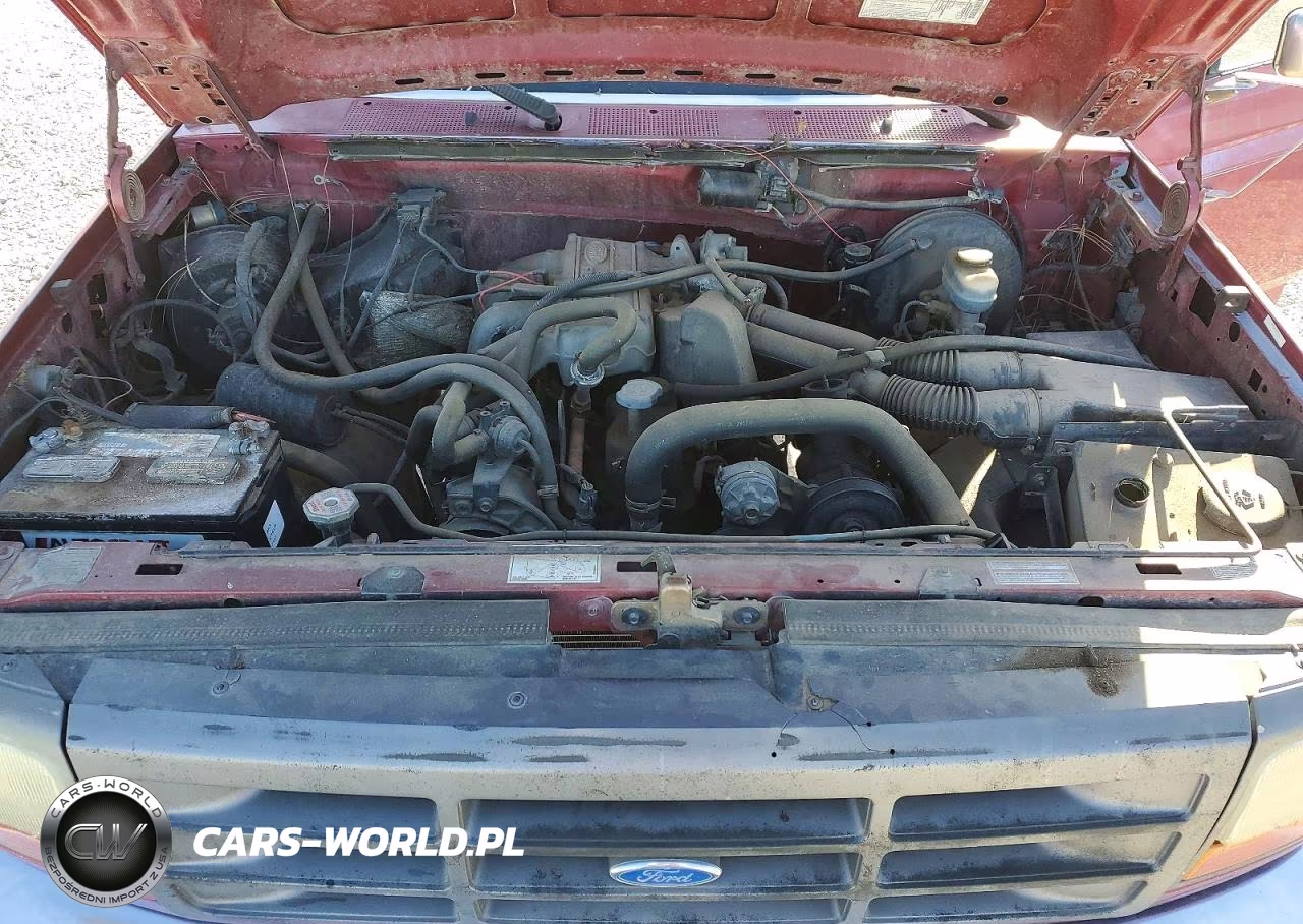 1994 Ford F150 VIN:1FTEF14Y8RLA15075 - 11