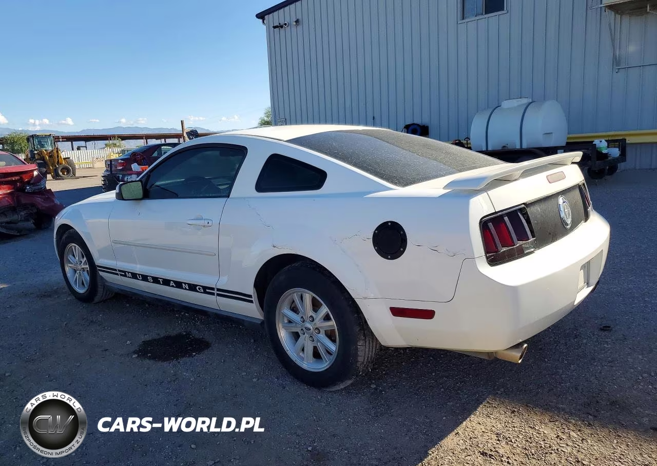 2006 Ford Mustang VIN:1ZVFT80N965143257 - 2