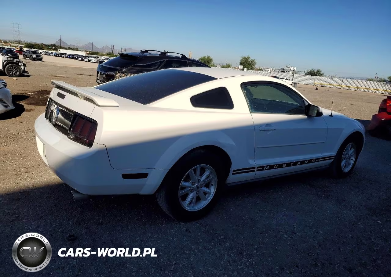 2006 Ford Mustang VIN:1ZVFT80N965143257 - 3