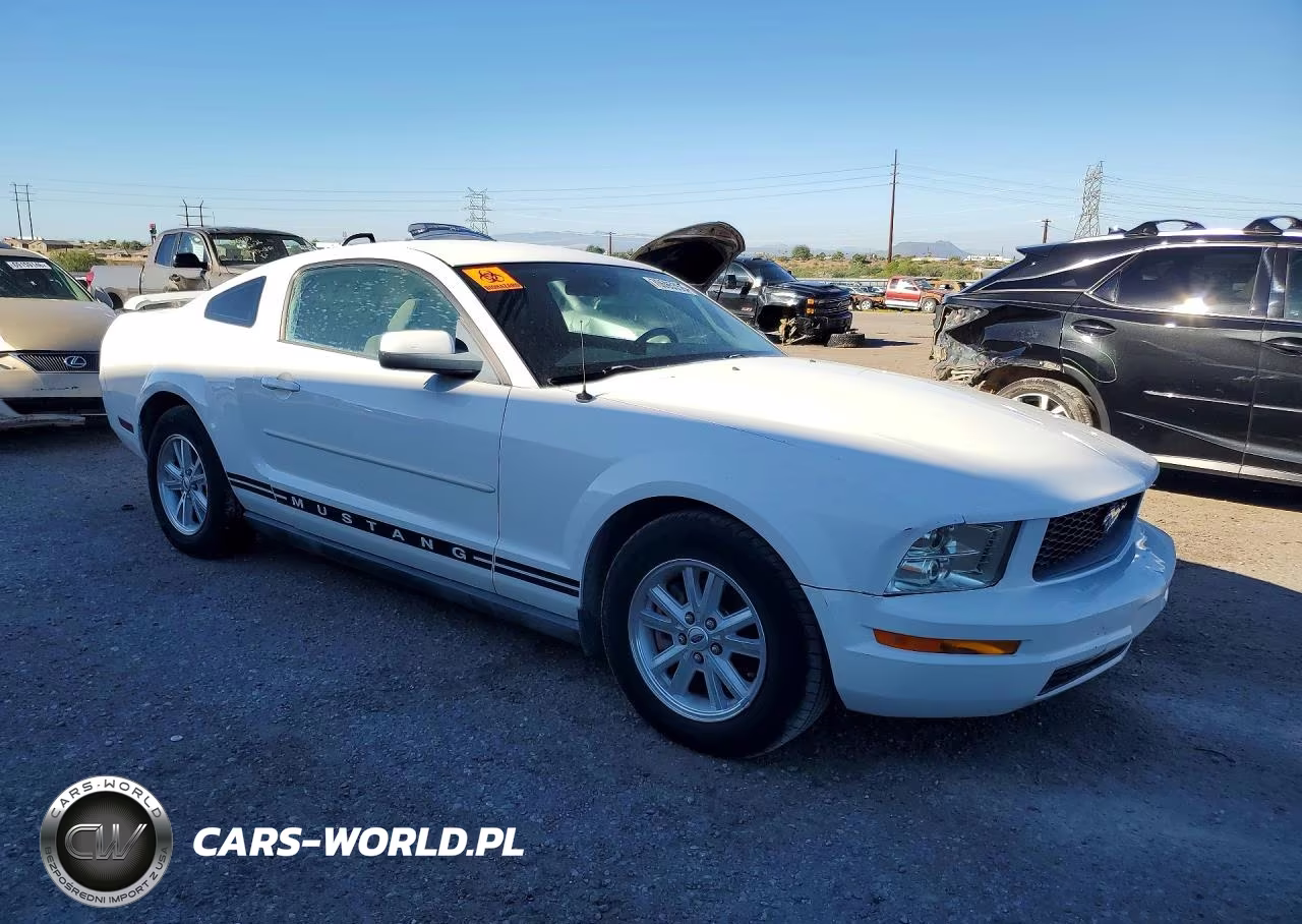 2006 Ford Mustang VIN:1ZVFT80N965143257 - 4