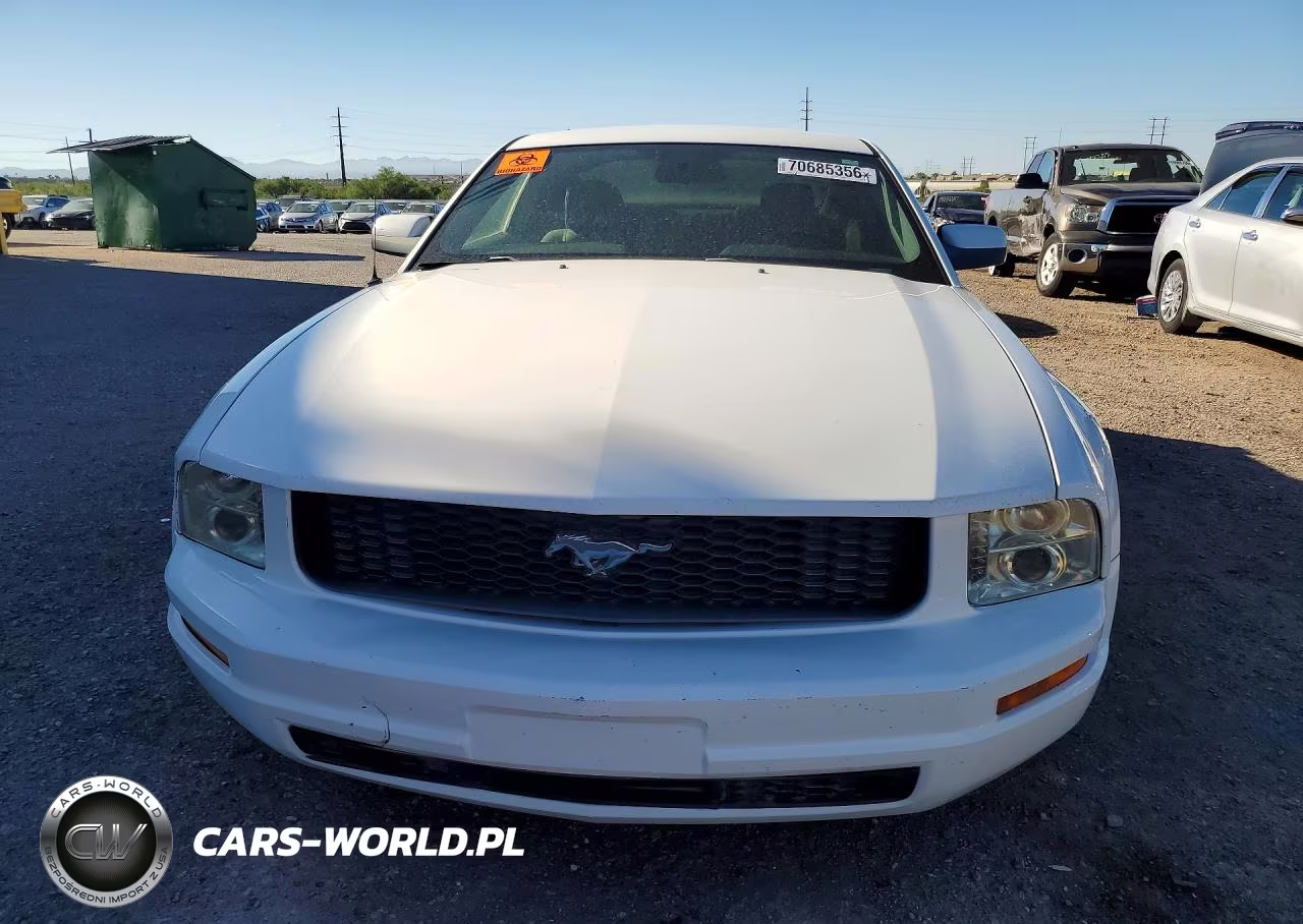2006 Ford Mustang VIN:1ZVFT80N965143257 - 5