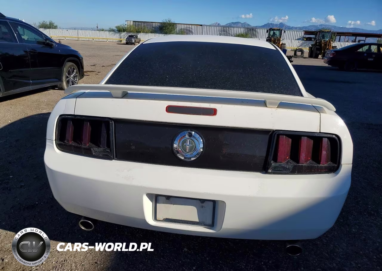 2006 Ford Mustang VIN:1ZVFT80N965143257 - 6