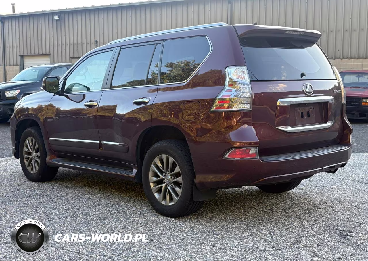 2016 Lexus Gx 460 Premium VIN:JTJJM7FX4G5134896 - 3