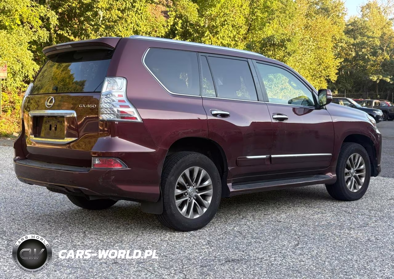2016 Lexus Gx 460 Premium VIN:JTJJM7FX4G5134896 - 4
