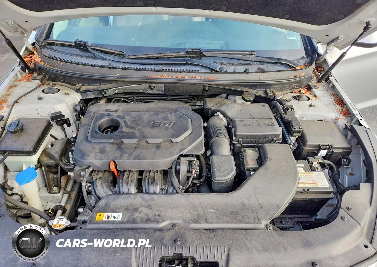 2015 Hyundai Sonata Se VIN:5NPE24AF8FH244601 - 11
