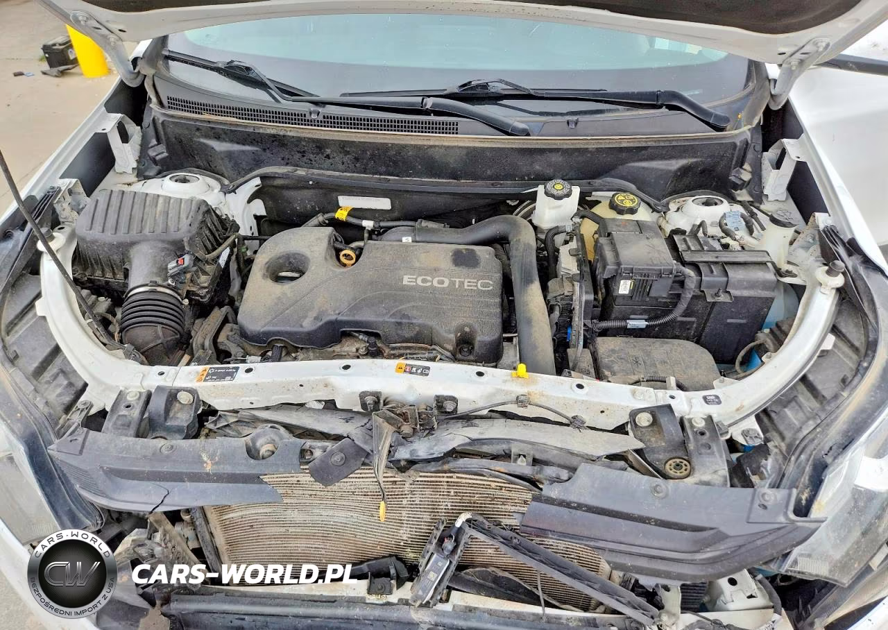 2019 Chevrolet Equinox Lt VIN:3GNAXTEV7KS650730 - 12