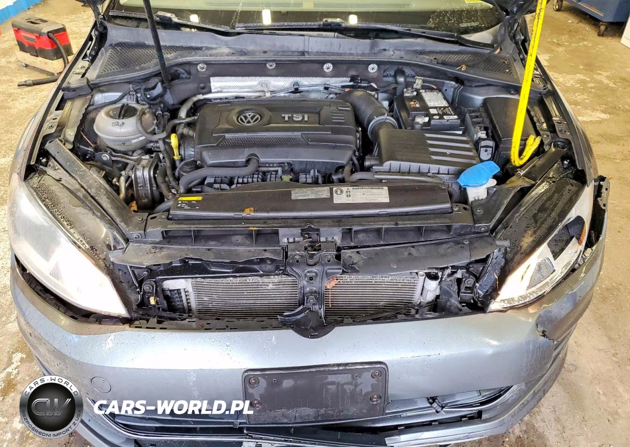 2015 Volkswagen Golf VIN:3VW217AU0FM004827 - 11