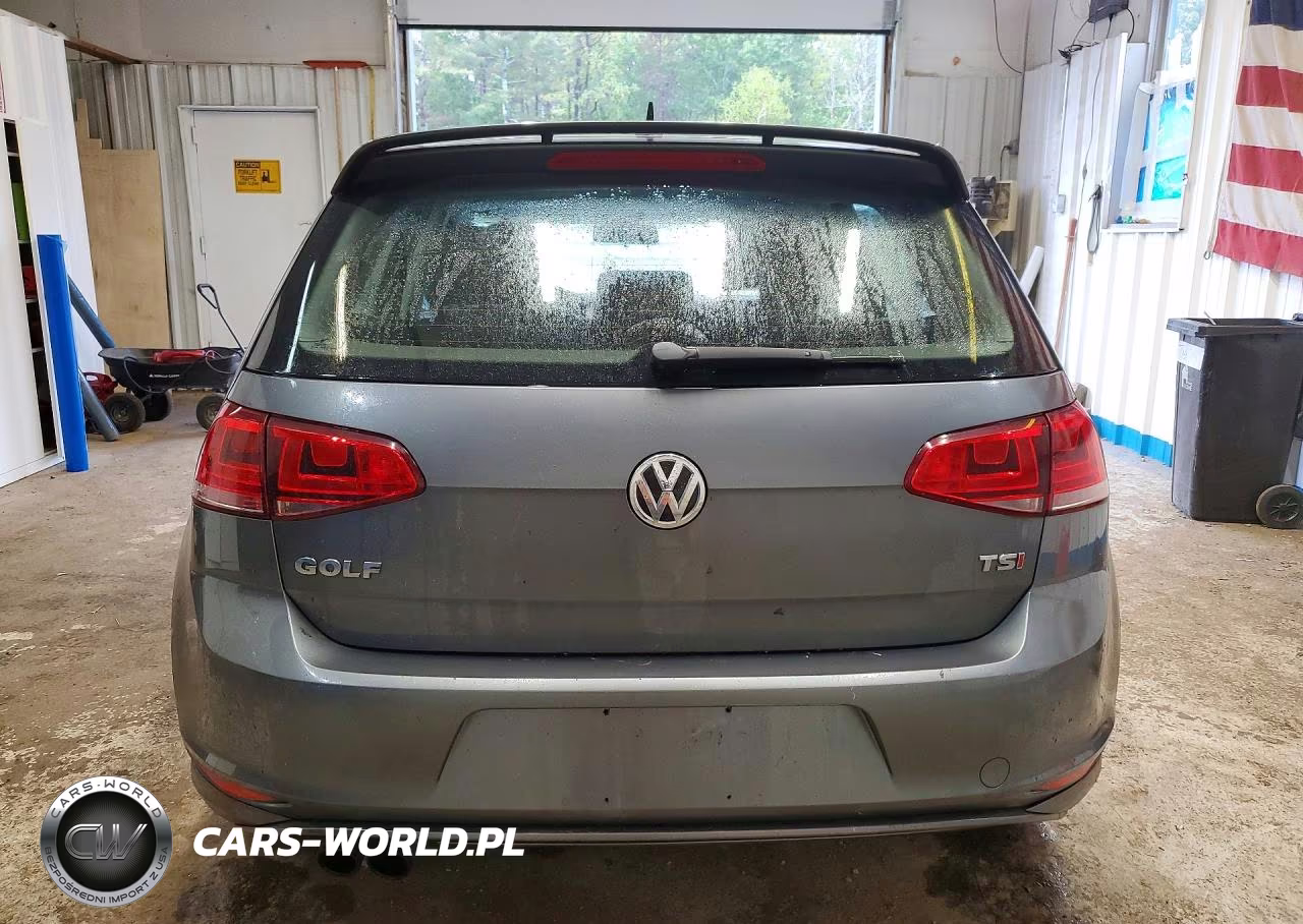 2015 Volkswagen Golf VIN:3VW217AU0FM004827 - 6
