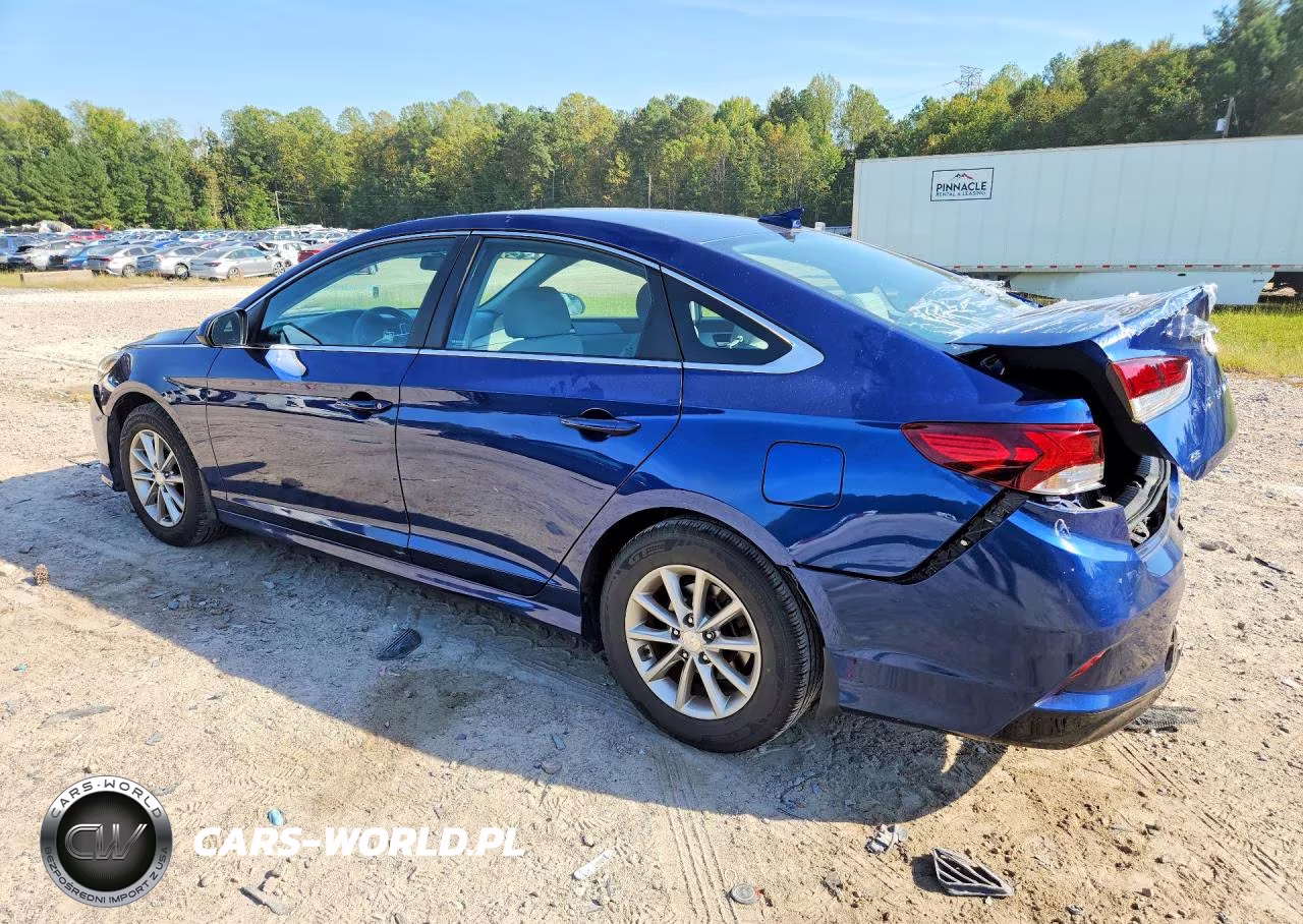 2019 Hyundai Sonata Se VIN:5NPE24AF7KH795919 - 2