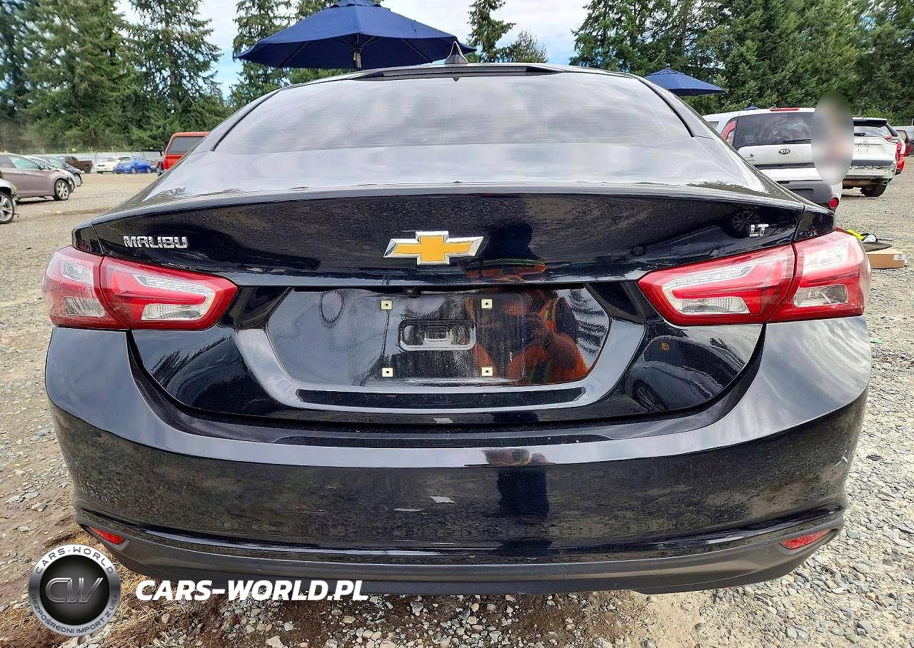 2020 Chevrolet Malibu Lt VIN:1G1ZD5ST5LF019735 - 6
