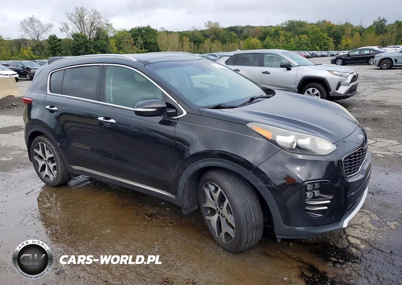 2017 Kia Sportage Sx VIN:KNDPR3A64H7096646 - 4