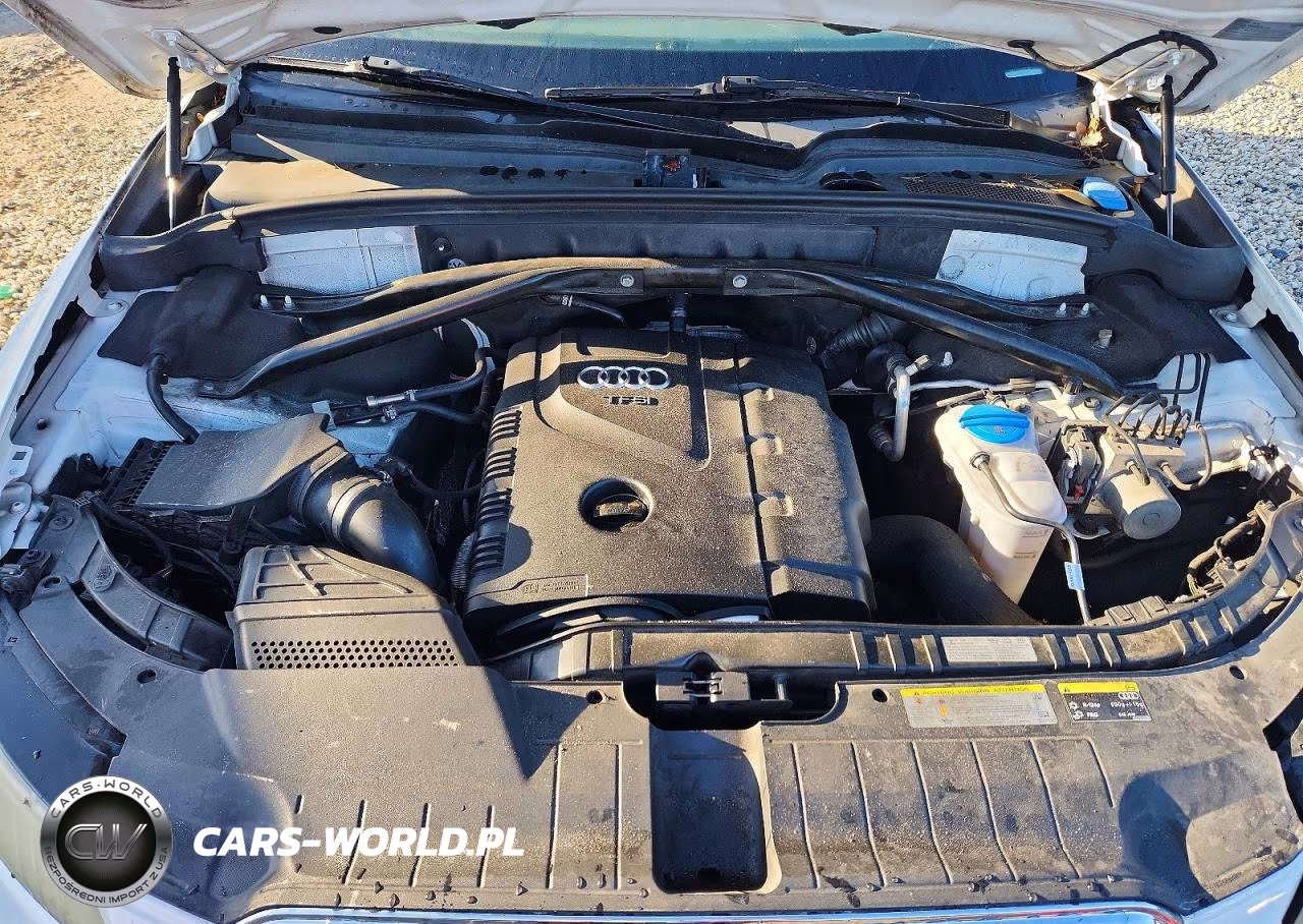 2013 Audi Q5 Premium Plus VIN:WA1LFAFP5DA055611 - 11