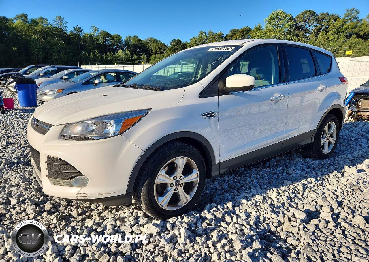 2014 Ford Escape Se