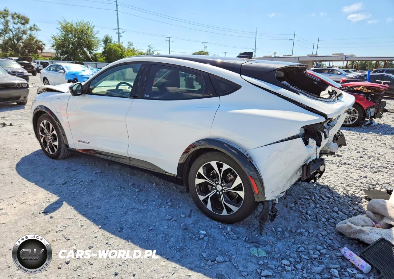 2021 Ford Mustang Mach-E Premium VIN:3FMTK3R75MMA10384 - 2