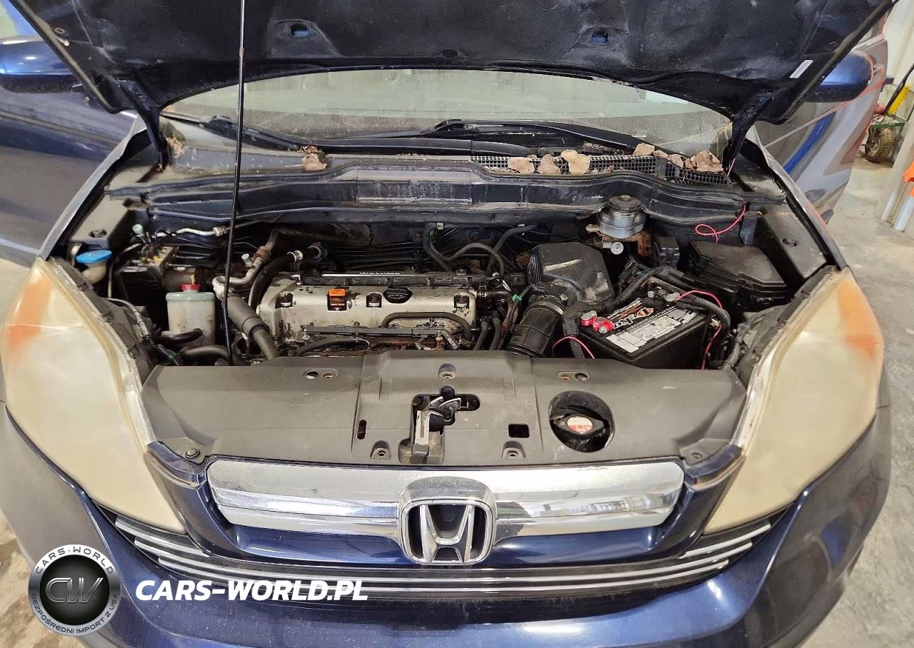 2008 Honda Cr-V Exl VIN:JHLRE48748C038877 - 12