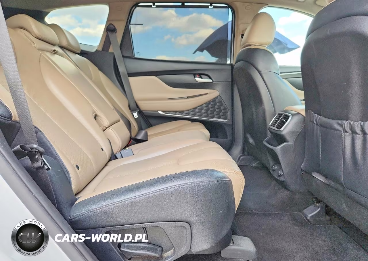 2020 Hyundai Santa Fe Sel VIN:5NMS33AD0LH256257 - 11