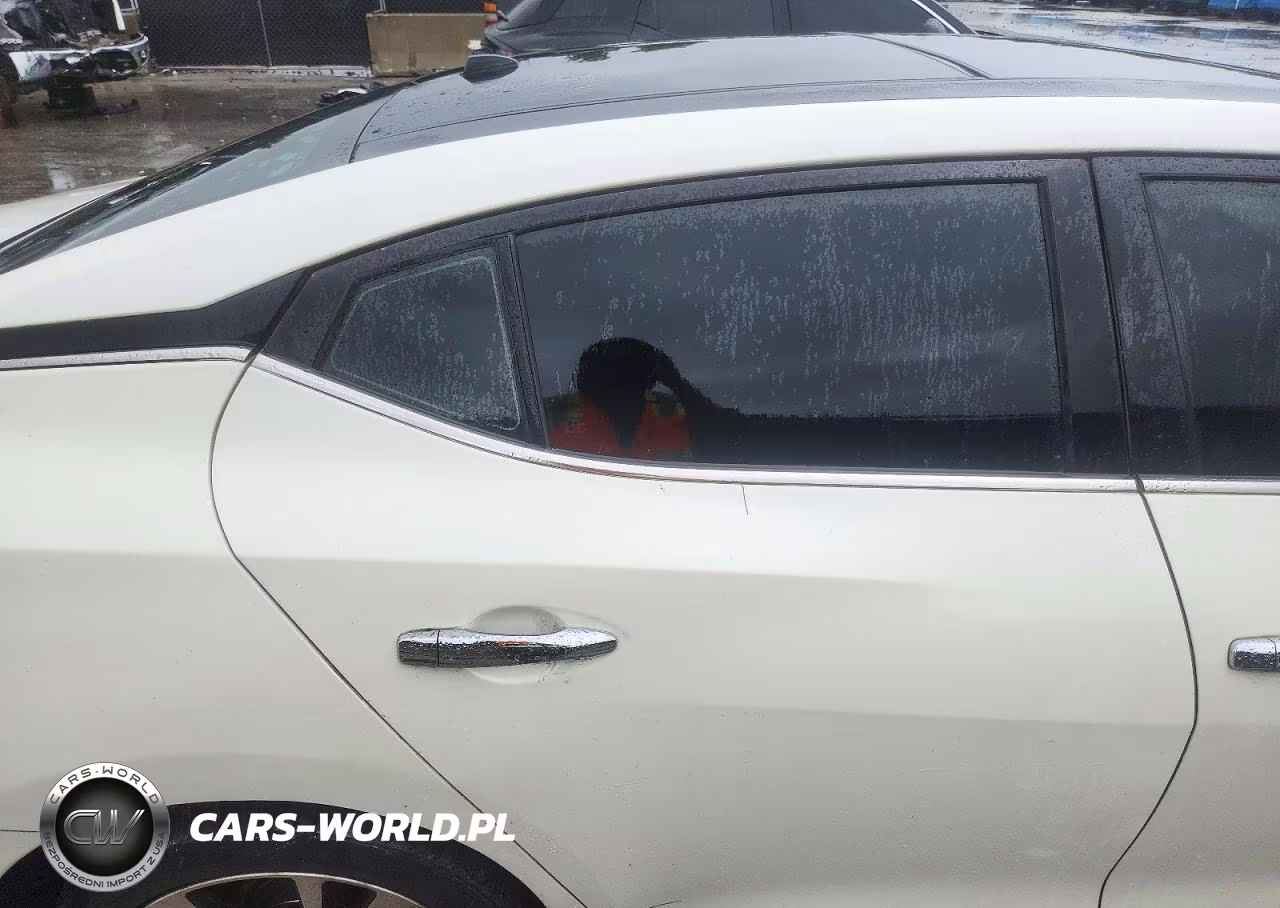 2017 Nissan Maxima Platinum VIN:1N4AA6APXHC440694 - 10