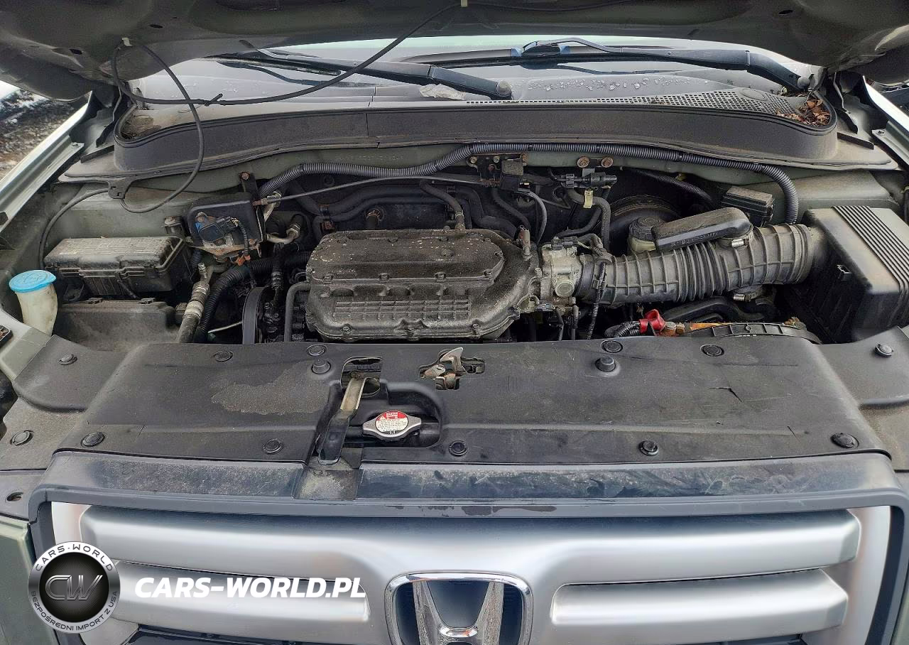 2007 Honda Pilot Exl VIN:2HKYF18537H502649 - 12