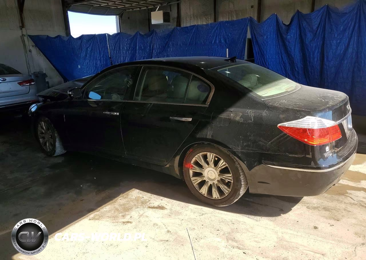 2009 Hyundai Genesis 3.8L VIN:KMHGC46E69U038964 - 2