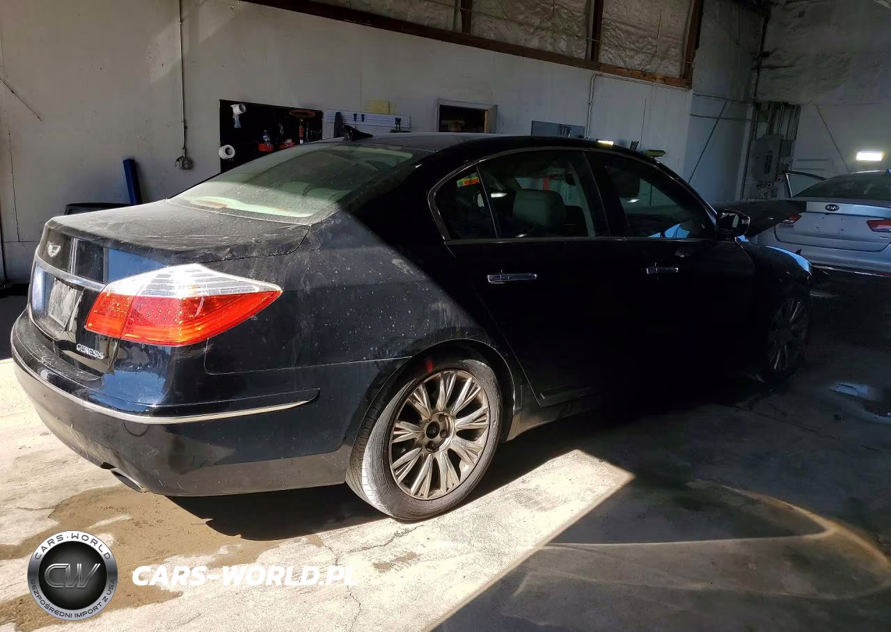 2009 Hyundai Genesis 3.8L VIN:KMHGC46E69U038964 - 3
