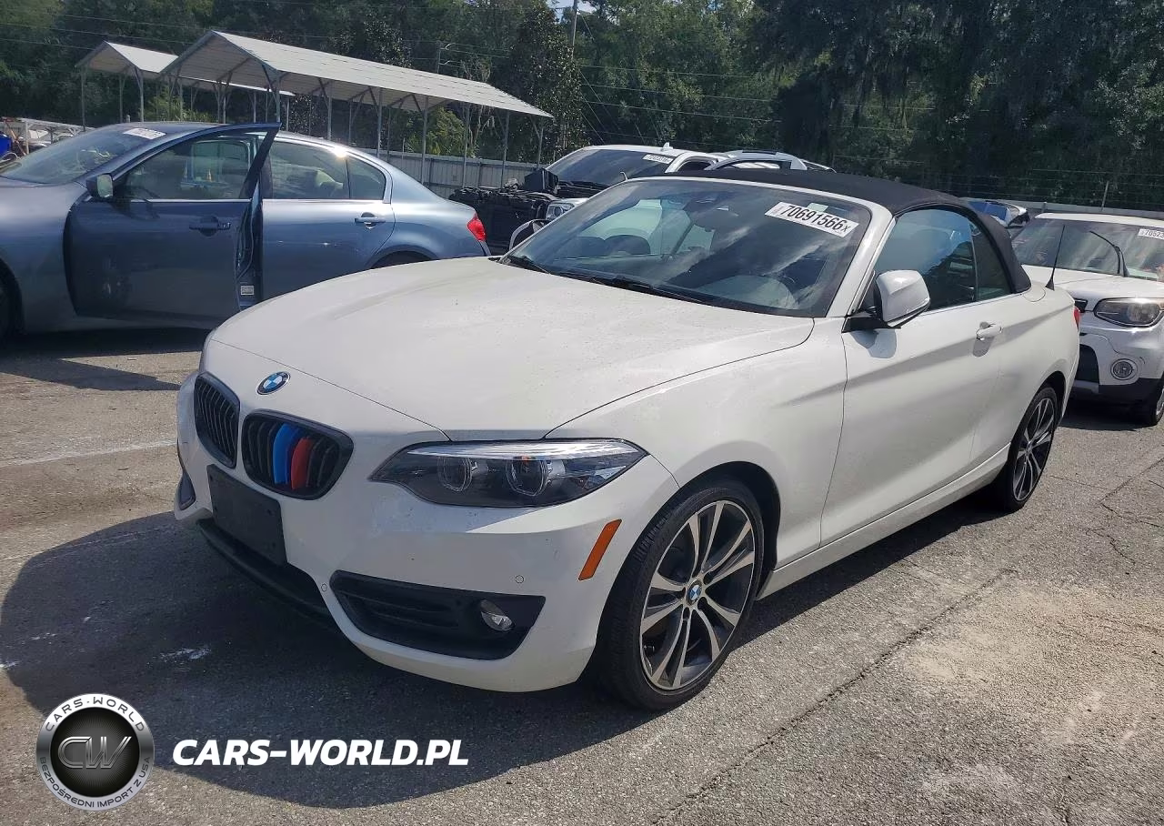 2019 BMW 230Xi
