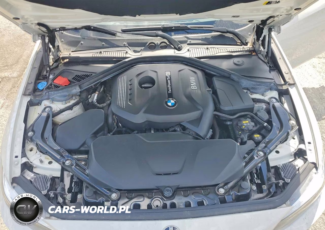 2019 BMW 230Xi VIN:WBA2K1C54KVD42072 - 11