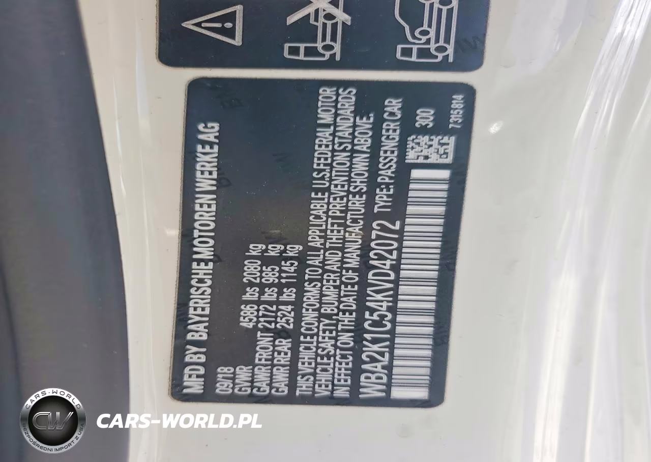 2019 BMW 230Xi VIN:WBA2K1C54KVD42072 - 12