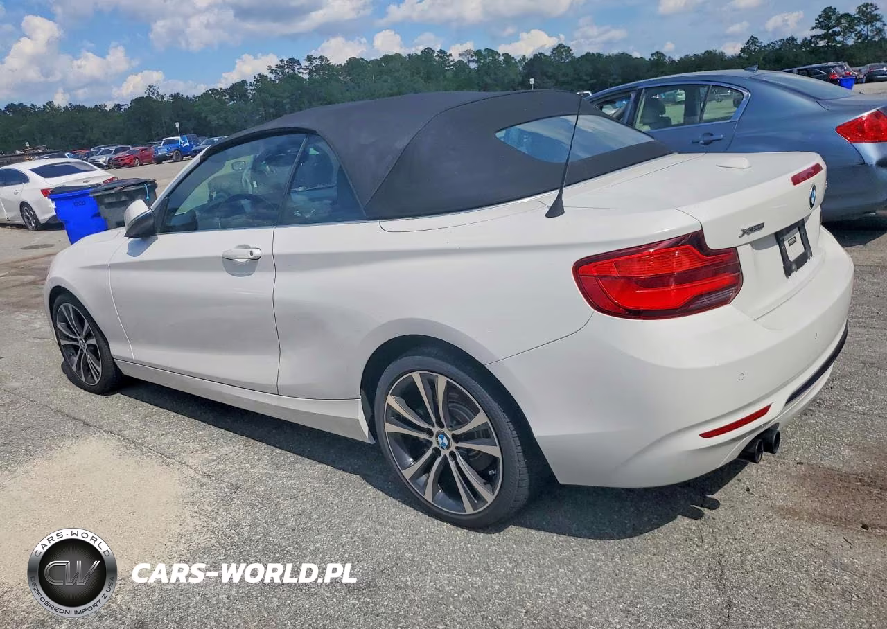 2019 BMW 230Xi VIN:WBA2K1C54KVD42072 - 2