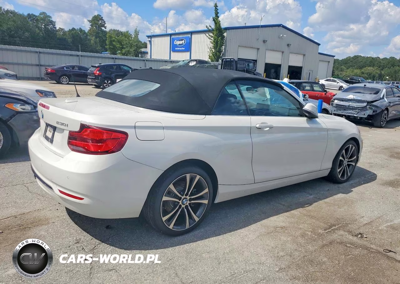 2019 BMW 230Xi VIN:WBA2K1C54KVD42072 - 3