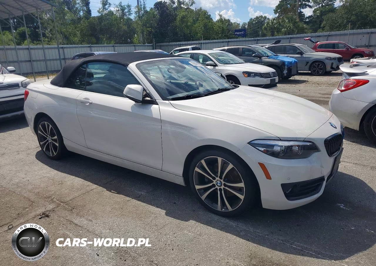 2019 BMW 230Xi VIN:WBA2K1C54KVD42072 - 4