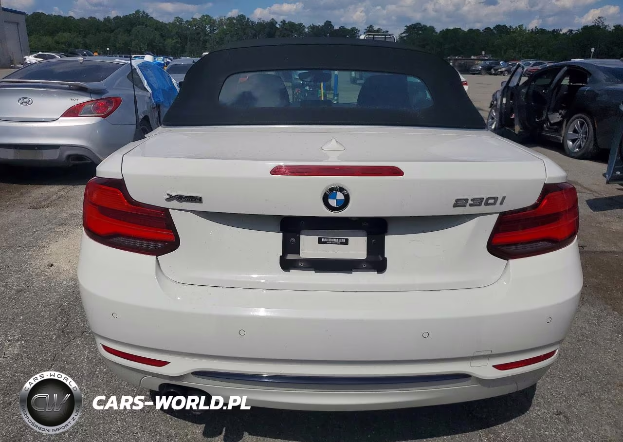 2019 BMW 230Xi VIN:WBA2K1C54KVD42072 - 6