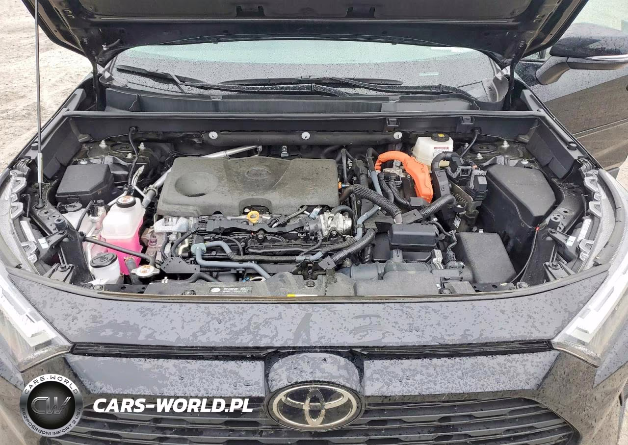 2025 Toyota Rav4 Hybrid Xle VIN:2T3RWRFV3SW265670 - 12